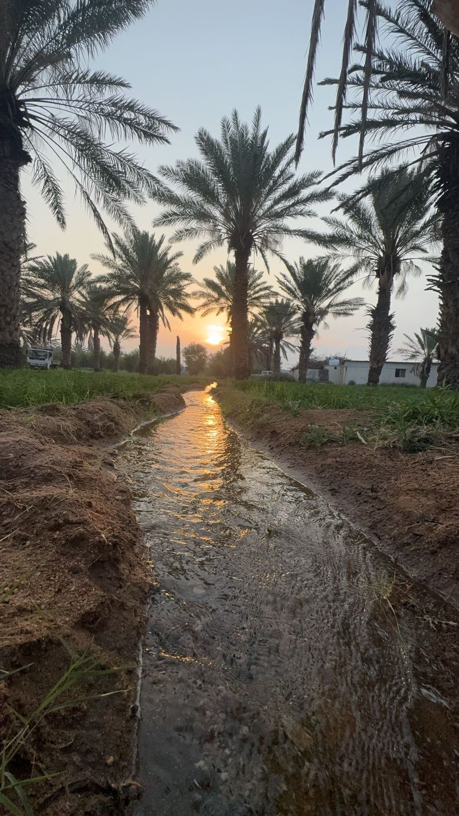 صورة إضافية للعقار