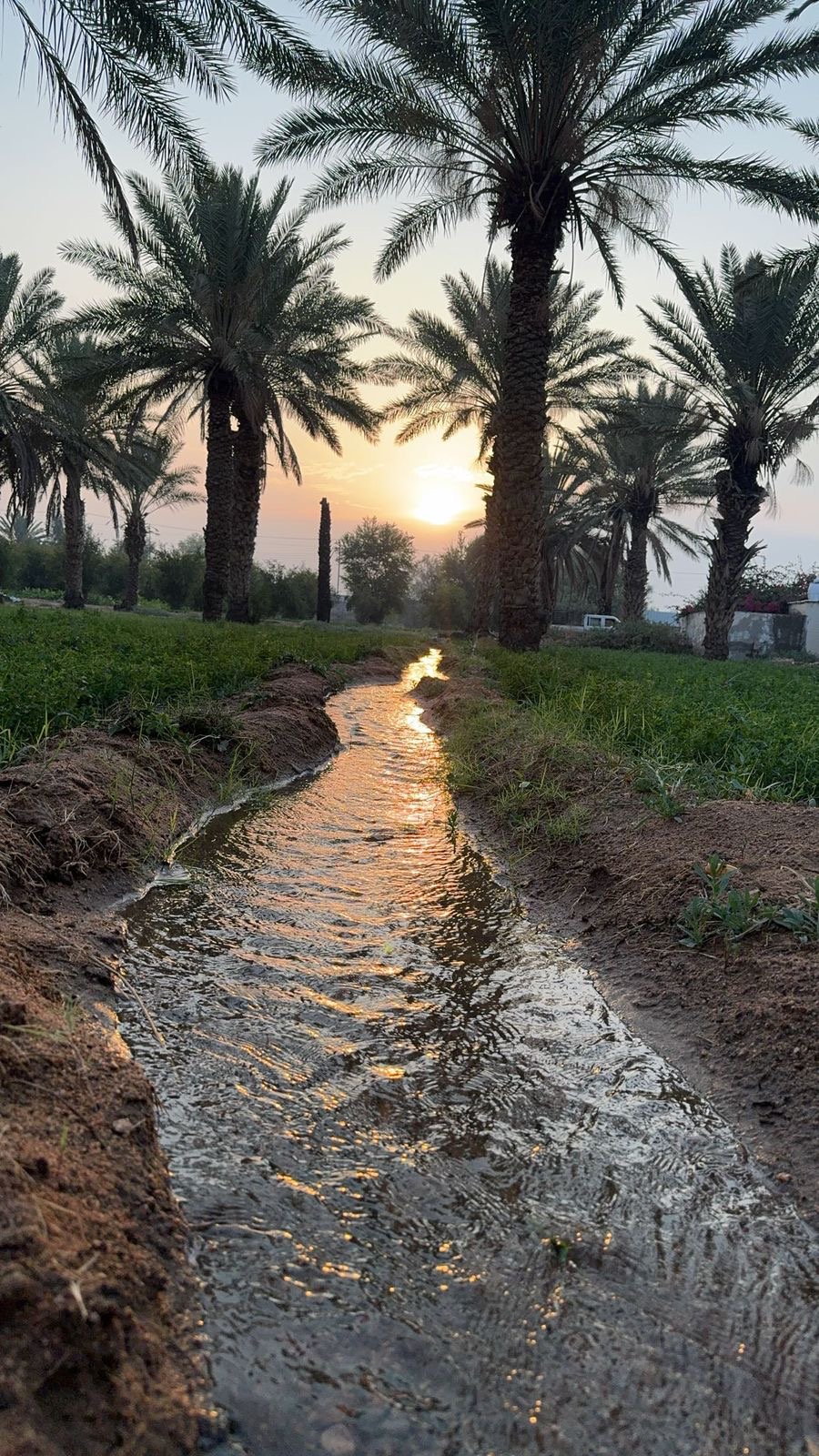 صورة إضافية للعقار